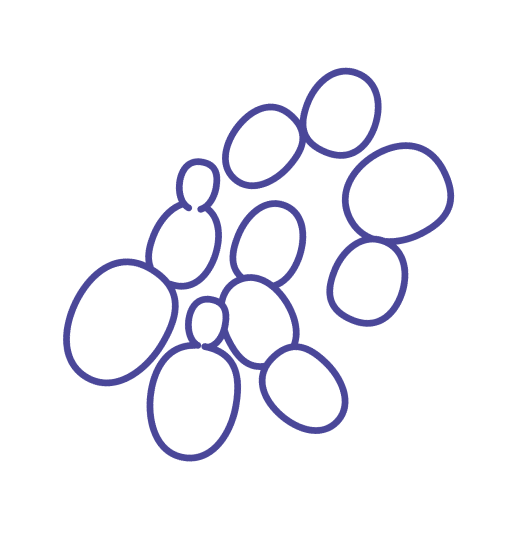 Yeast expression